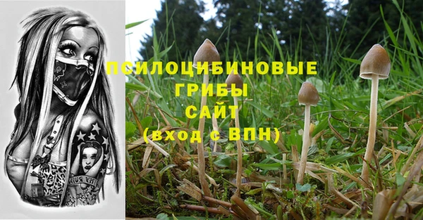 гидропоника Алзамай