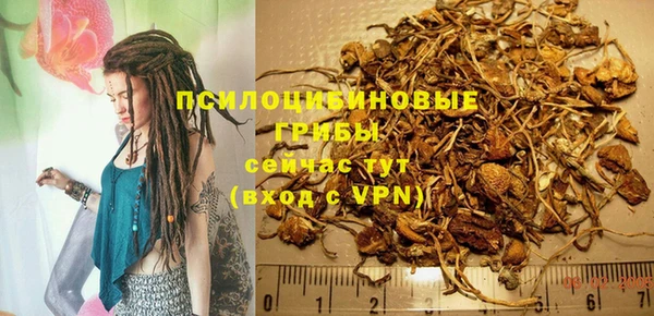 трава Абдулино