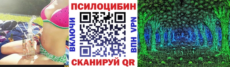 blacksprut сайт  что такое   Новоалтайск  Галлюциногенные грибы MAGIC MUSHROOMS 